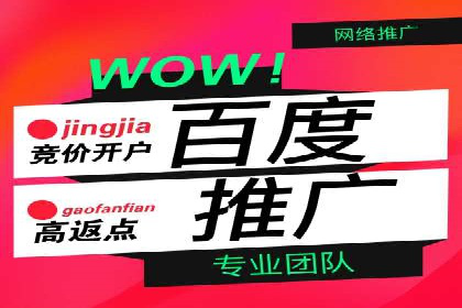 案例分析：百度竞价广告投放技巧